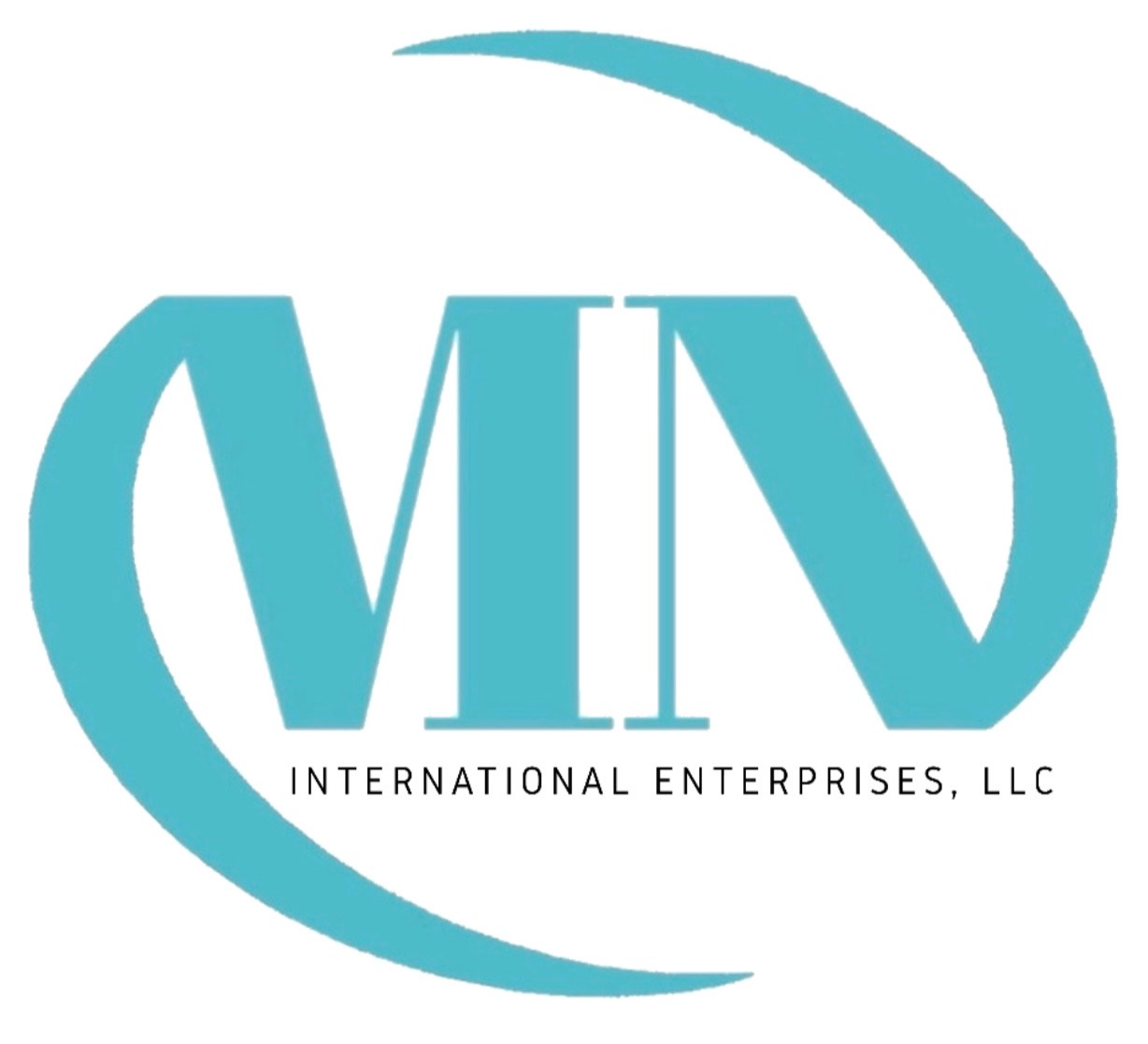 MN International Enterprises logo